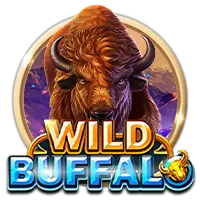 Wild Buffalo